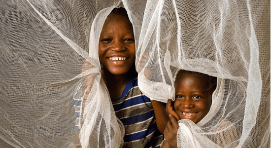 JOURNEE MONDIALE DU PALUDISME: Poursuivre le combat au Mali