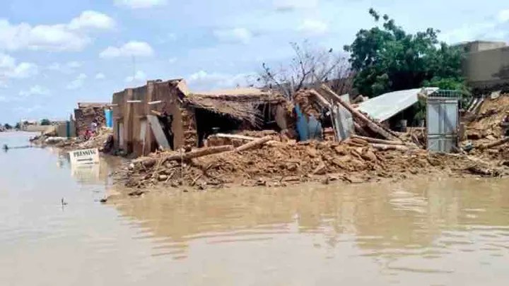 HIVERNAGE 2024:Plus de 647 000 tonnes détruites par la pluie