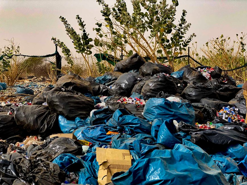 LA POLLUTION PLASTIQUE: Du constat aux solutions, le défi est de taille