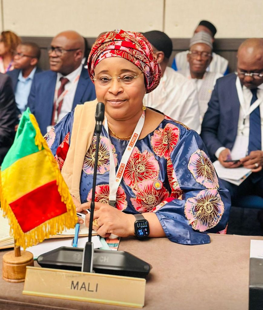 𝐂𝐨𝐧𝐬𝐞𝐢𝐥 𝐝𝐞𝐬 𝐌𝐢𝐧𝐢𝐬𝐭𝐫𝐞𝐬 𝐝𝐞 𝐥𝐚 𝐏𝐫𝐞́𝐯𝐨𝐲𝐚𝐧𝐜𝐞 𝐒𝐨𝐜𝐢𝐚𝐥𝐞 : 𝐁𝐢𝐥𝐚𝐧 𝐞𝐭 𝐏𝐞𝐫𝐬𝐩𝐞𝐜𝐭𝐢𝐯𝐞𝐬 𝐚̀ 𝐆𝐞𝐧𝐞̀𝐯𝐞