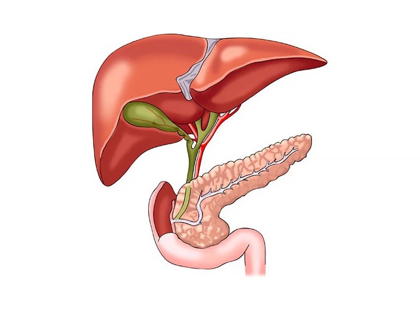 JOURNEE MONDIALE DE L’HEPATITE: Des progrès pour son éradication ?
