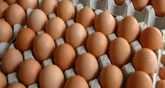 DES ŒUFS AU MALI: Les prix victimes de la grippe aviaire ?