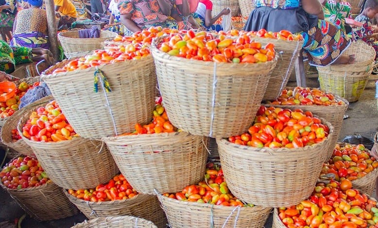 TOMATE:Trop chère, trop peu