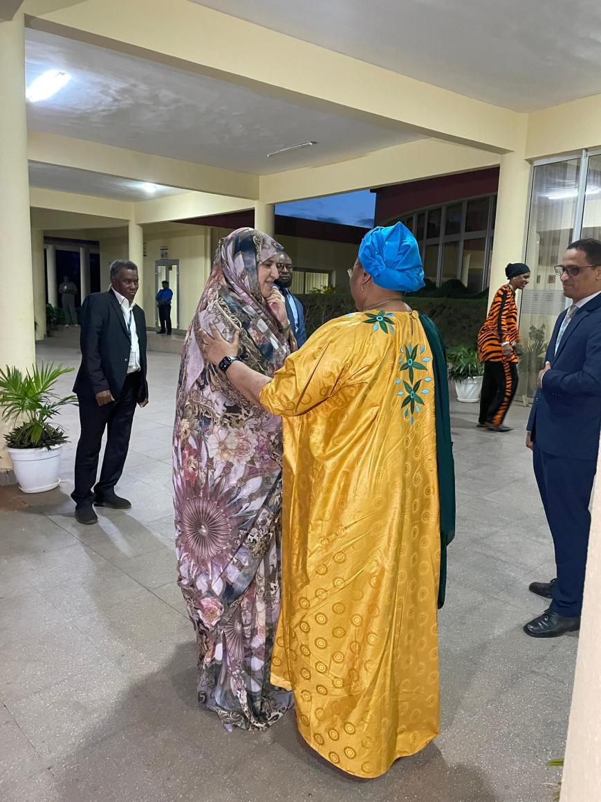 Arrivée des ministres de l’action humanitaire à Bamako