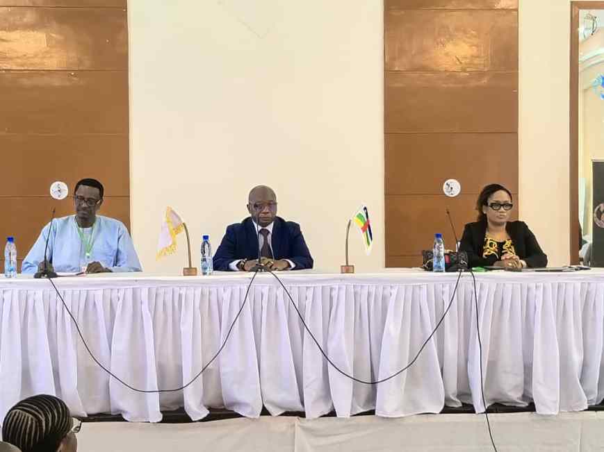 REUNION DE LA CIPRES : A Bangui, les experts se réunissent pour renforcer la Protection Sociale