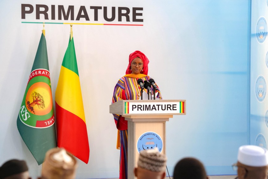 EMPLOI AU MALI:Le secteur public grand employeur